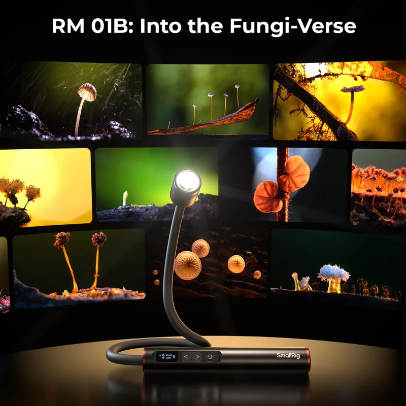 SmallRig RM 01B ไฟ LED สำหรับถ - Photography Lighting Angles บทวิจารณ์และราคา