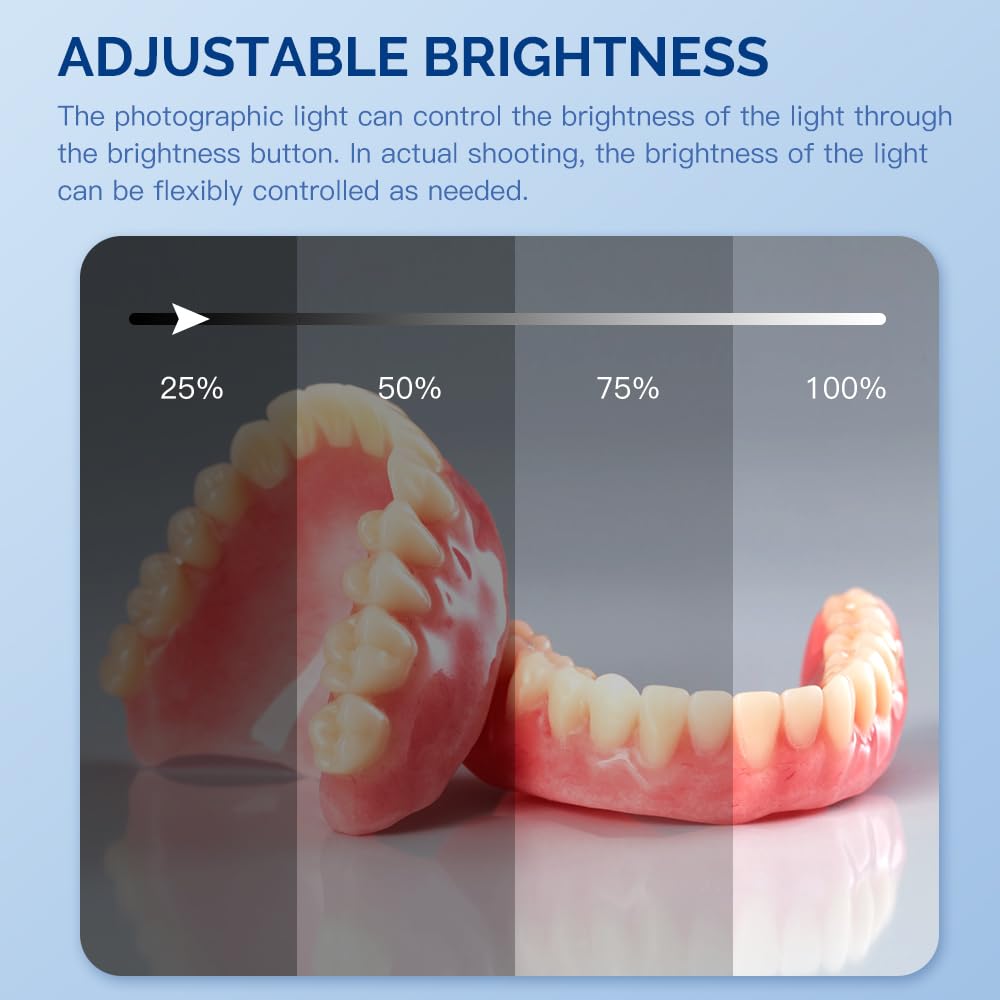 ไฟเสริม LED ทันตกรรมมืออาชีพ | - Photography Lighting Composition บทวิจารณ์และราคา