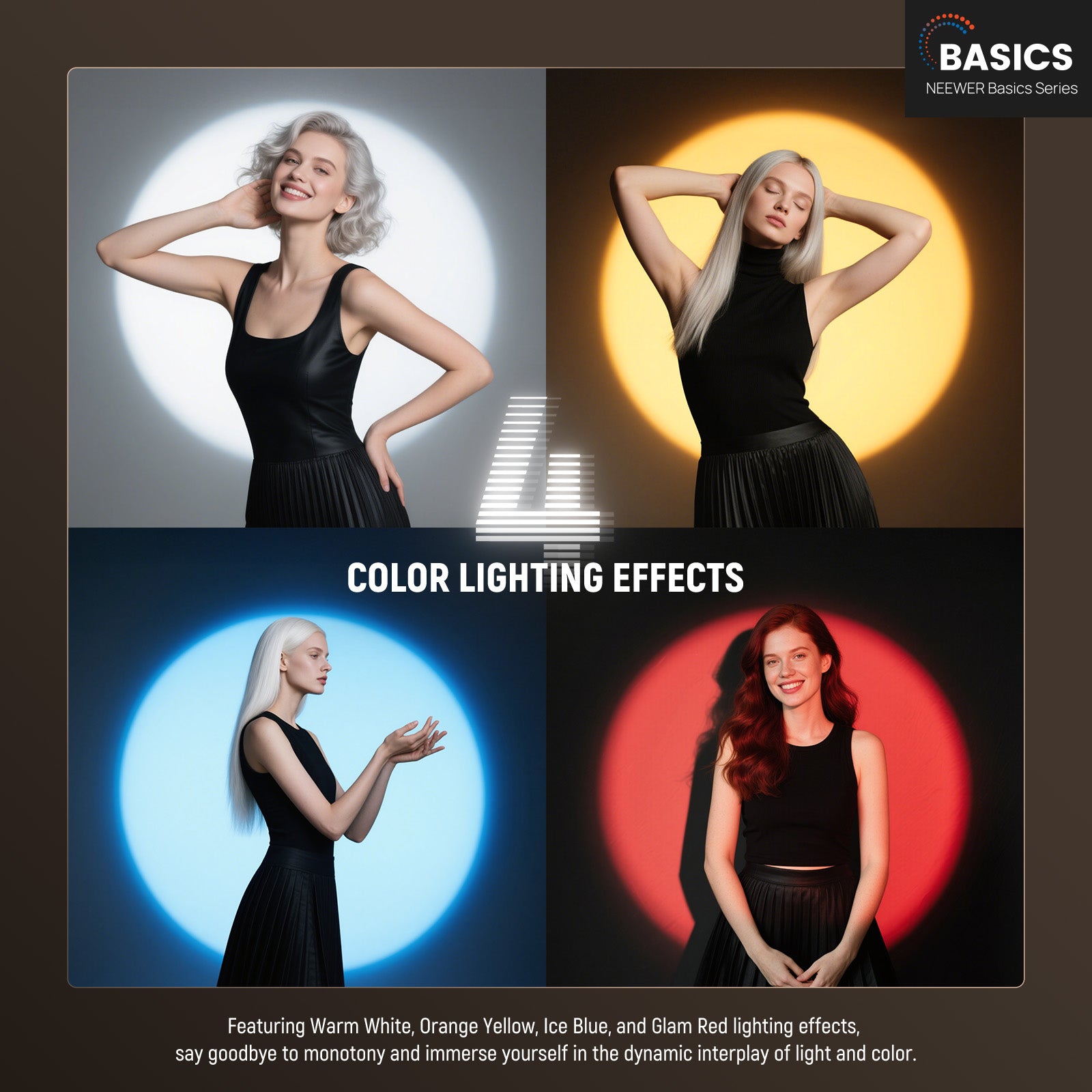 ไฟแฟลชถ่ายภาพ NEEWER BASICS FL - Photography Lighting Basics บทวิจารณ์และราคา